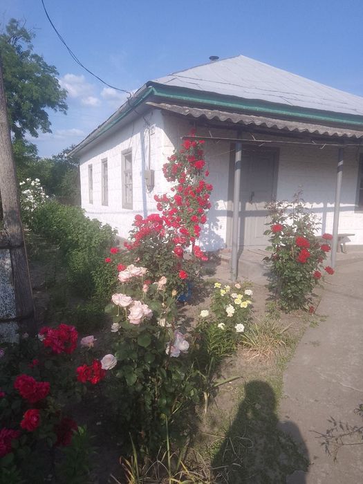 Продається будинок. Саврань. Центр