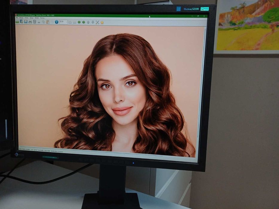 Monitor Eizo FlexScan S2100