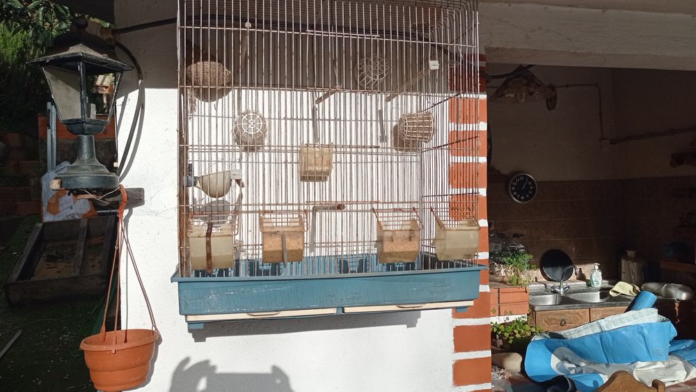 Duas gaiolas diferentes