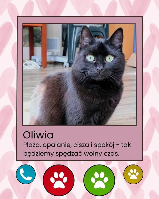 Kiedyś dzika, a dziś kochająca człowieka Oliwia