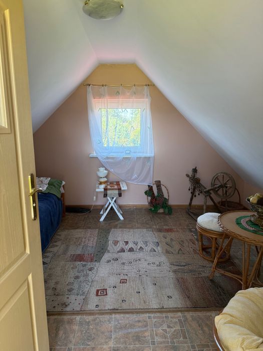 Działka ROD na ul. Depowej w Białymstoku