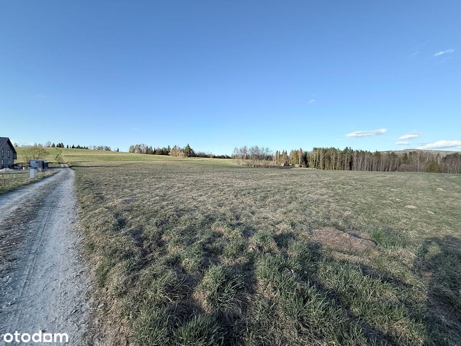 Na sprzedaż wyjątkowe działki widokowe – Jordanów - Widok 3