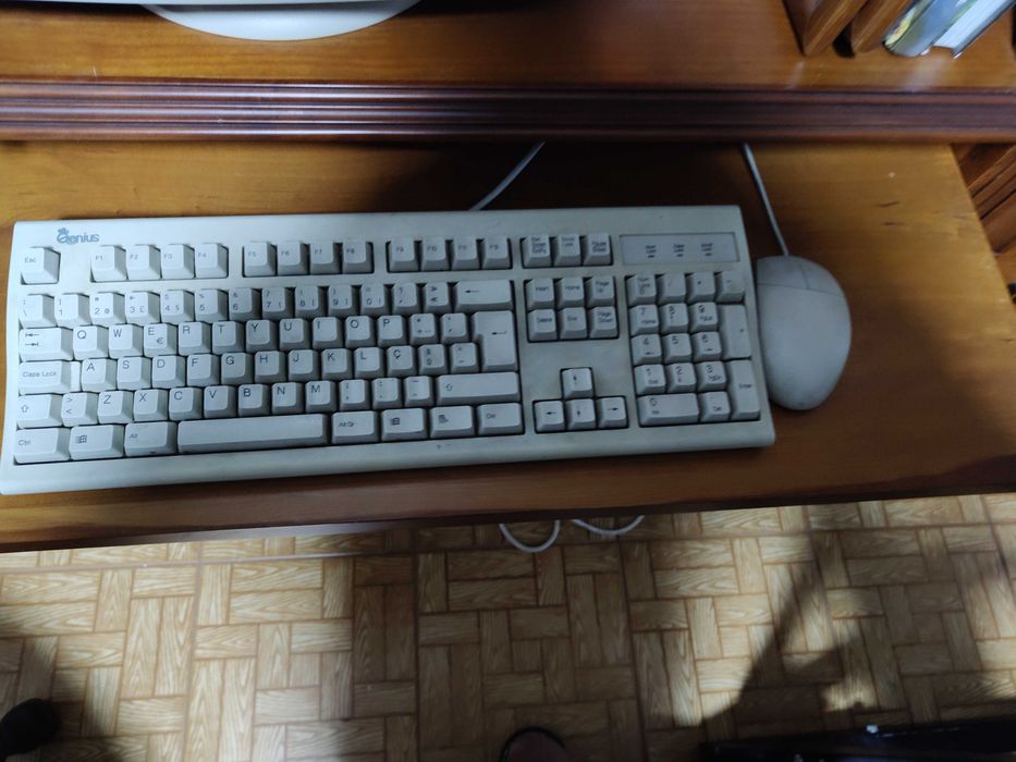 Teclado e rato funcional446392552675102722