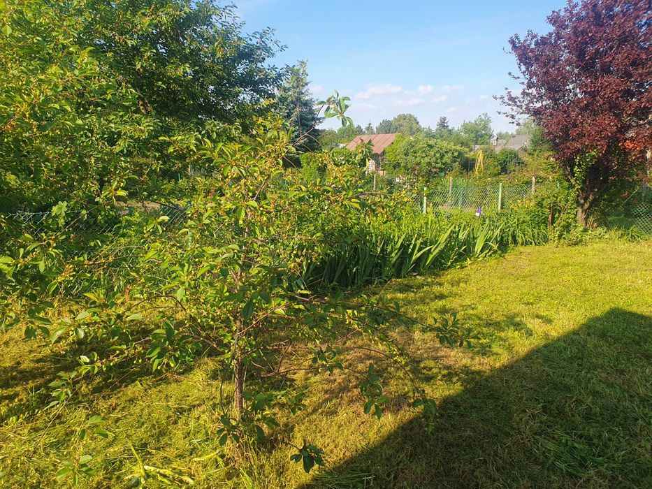 Działka na ogródkach działkowych ROD "SEZAM" Kiełczów - Widok 5