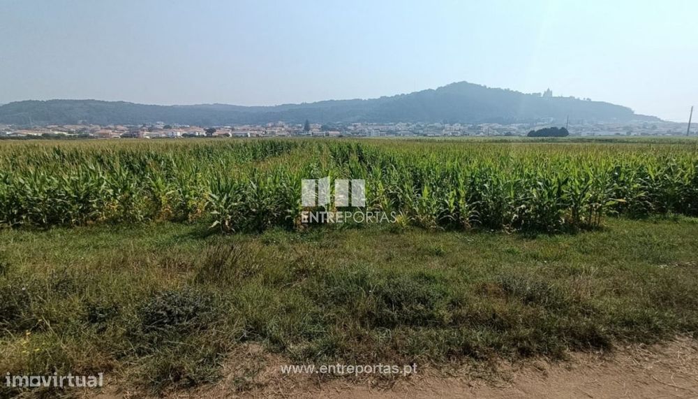 Venda de terreno agrícola com 7890m², Areosa, Viana do Castelo