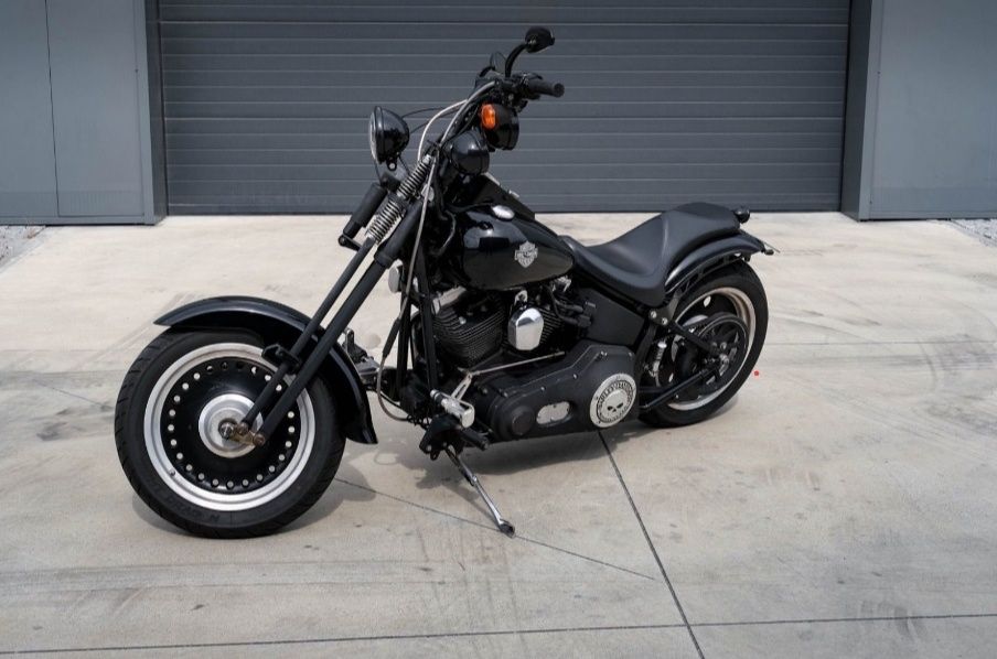 Harley Davidson thunder Mountain 1/1