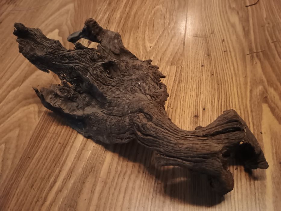 Korzenie do akwarium