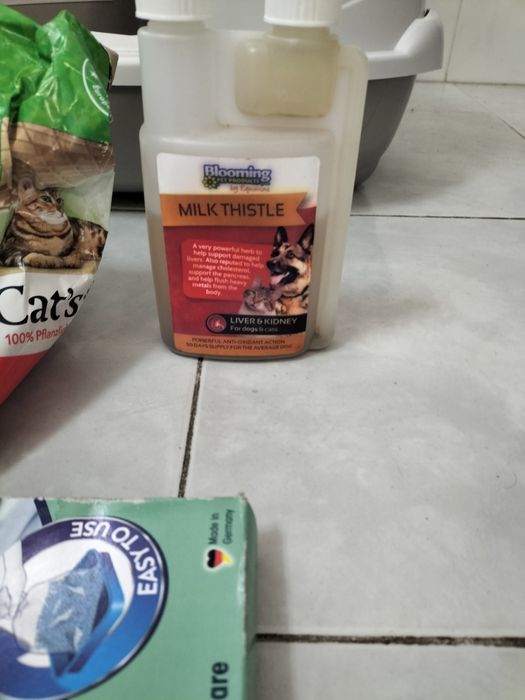 Casota para gato com alguns extras