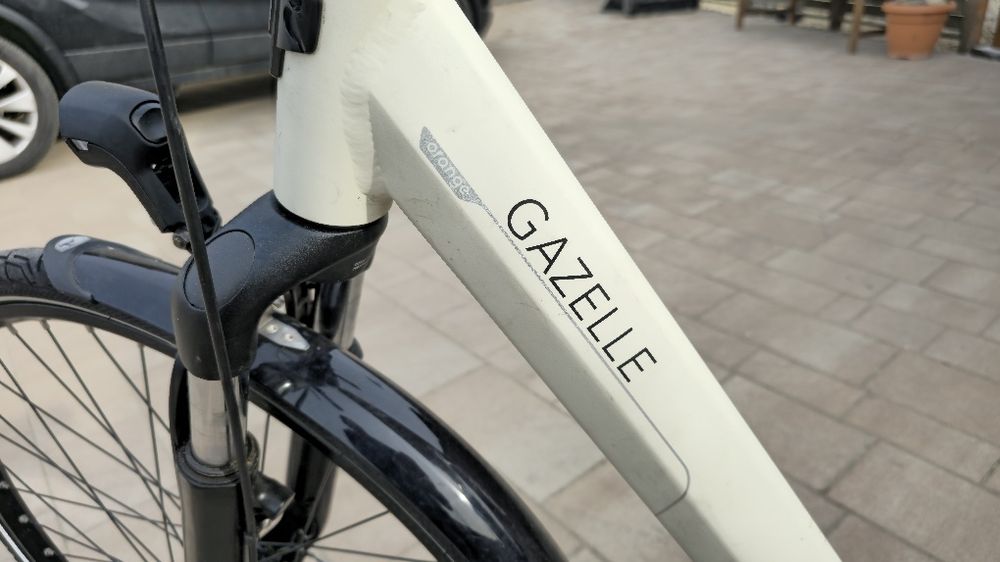 Gazelle orange C7+