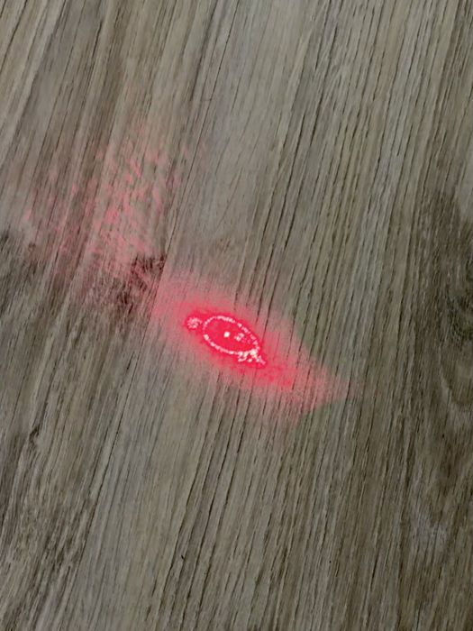Ponteira LED para pets