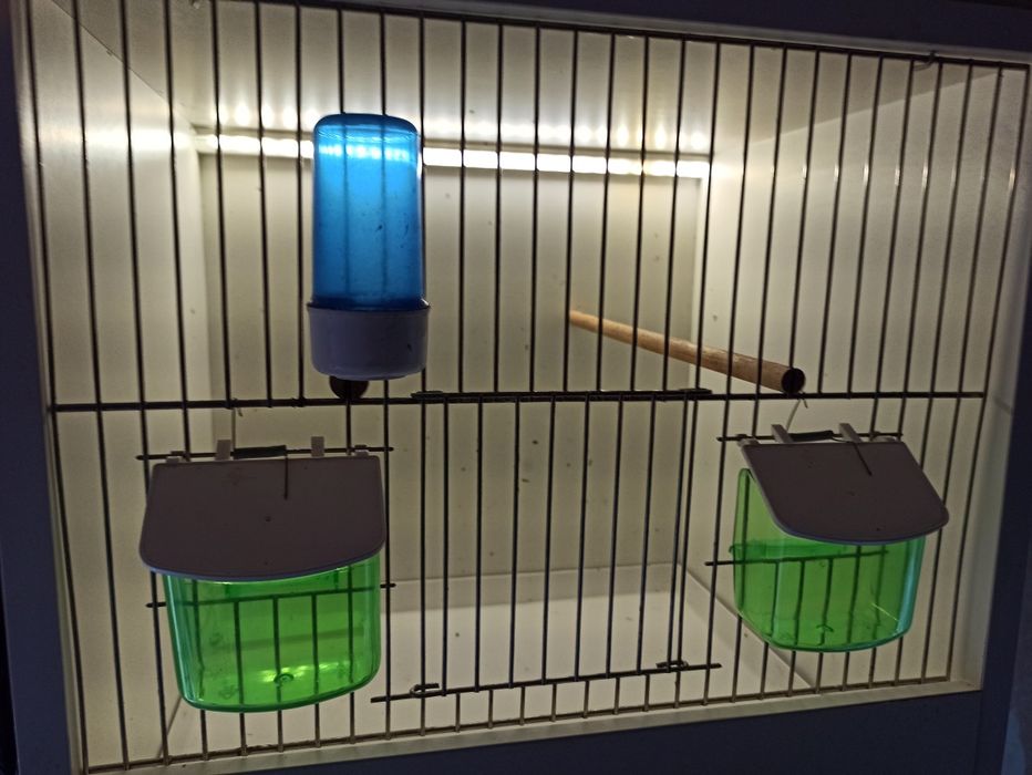 Sprzedam klatkę na drobna egzotyke