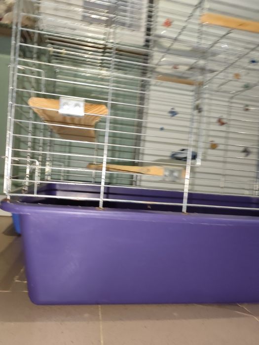 Клітка для шиншили чи кролика. Клетка . Дуже велика клітка.