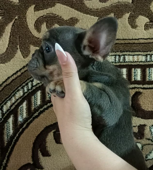 Французское чудо