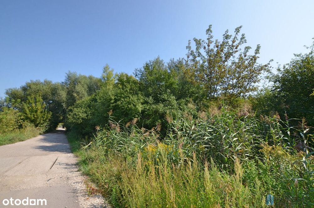 Działka 1800 m2 przy Jeziorze Dziekanowskim