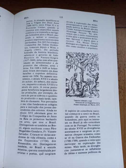 Pequeno dicionário História de Portugal