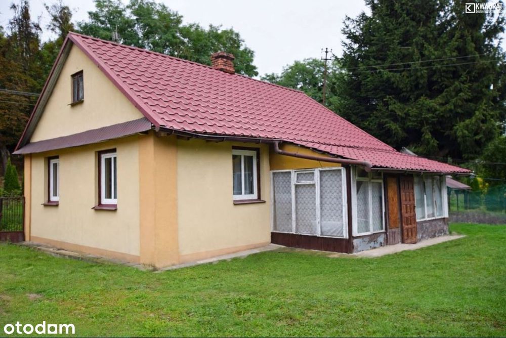 Zdjęcie 2
