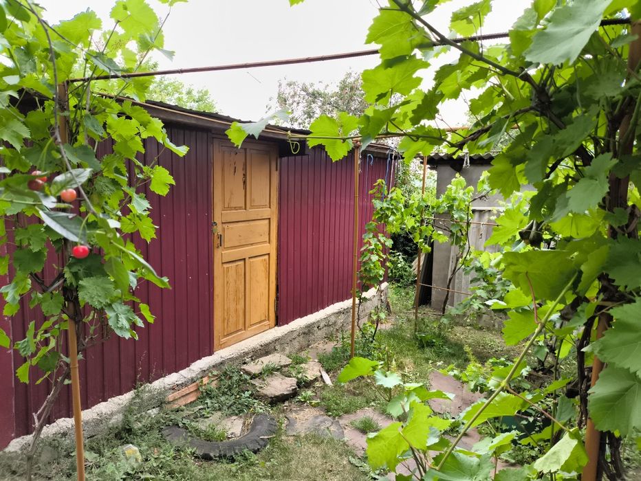 Продам будинок у с. Грушівка . Миколаївської області