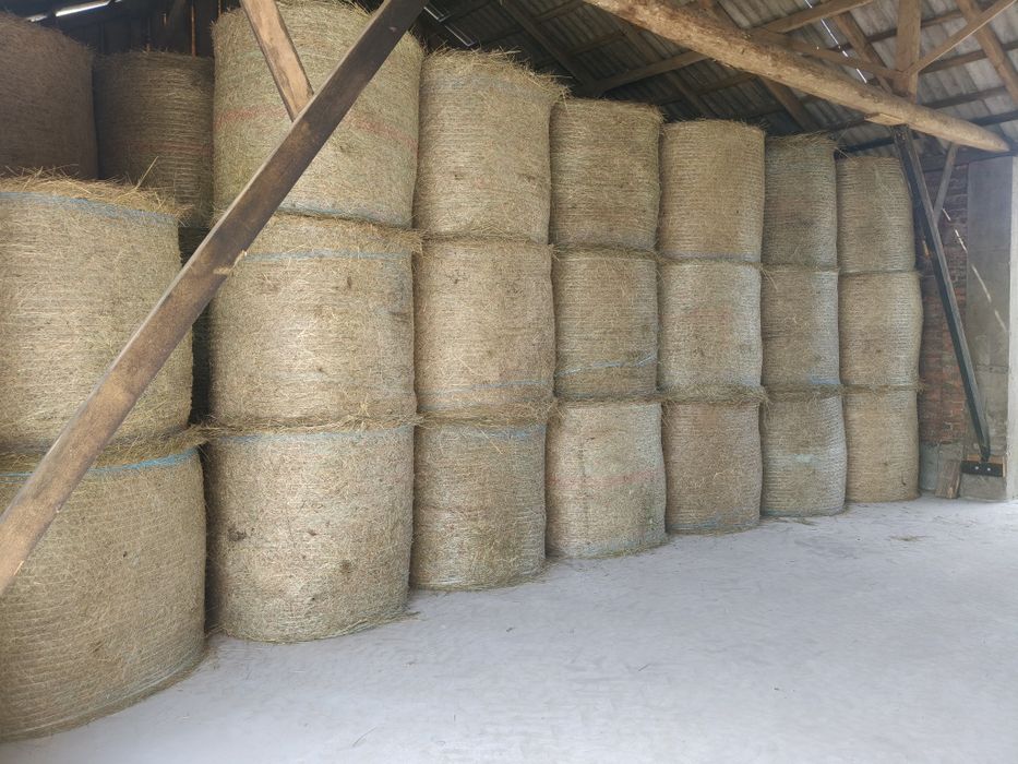 Sloma pszenzytnia 150x120 owsianka 125x120