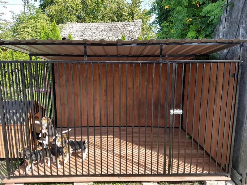 Kojec Klatka Zagroda Buda dla psa 3mx2m Montaż Gratis Solidny
