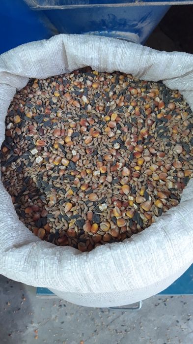 Зерно-суміш, для дорослої птиці. (5відер 42кг.)