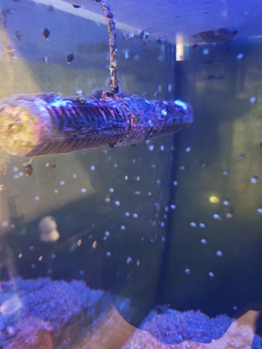 Bomba Jebao Wavemaker ECP-150