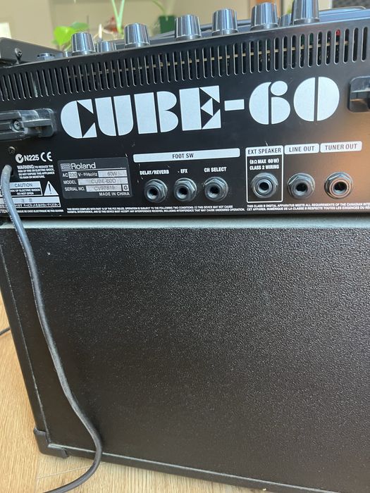 Roland Cube 60 e TC Electronic Alterego x4