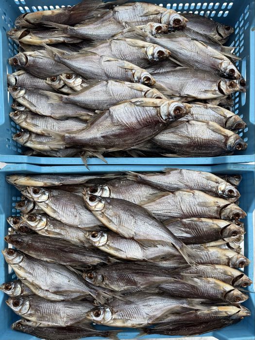 Риба вялена та холодного копчення | вяленая рыба