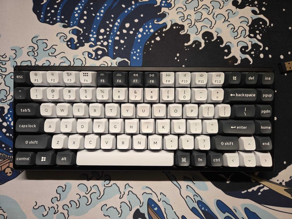 Teclado Mecânico Keychron K2 HE [US ANSI 75% / Switches Magnéticos]
