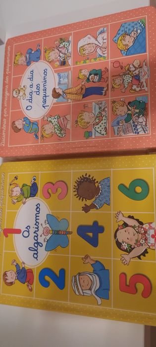 Lote Dicionários por imagens dos pequeninos