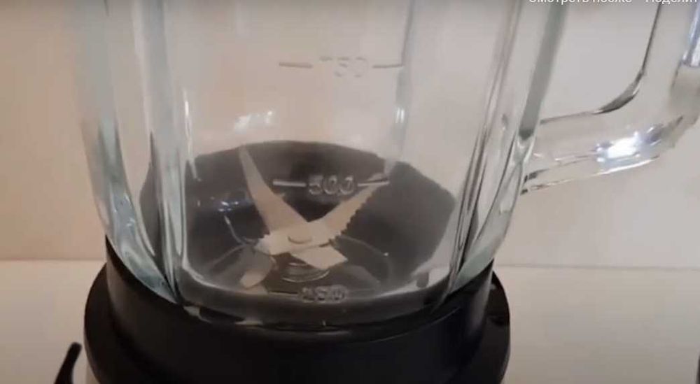 Универсальный  кухонный блендер с кофемолкой