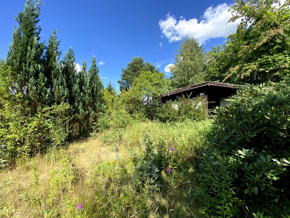 Działka ROD Szczaki 500 m² - Widok 5
