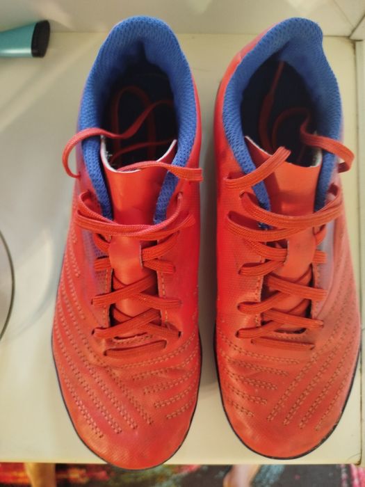 Шиповочки кипста