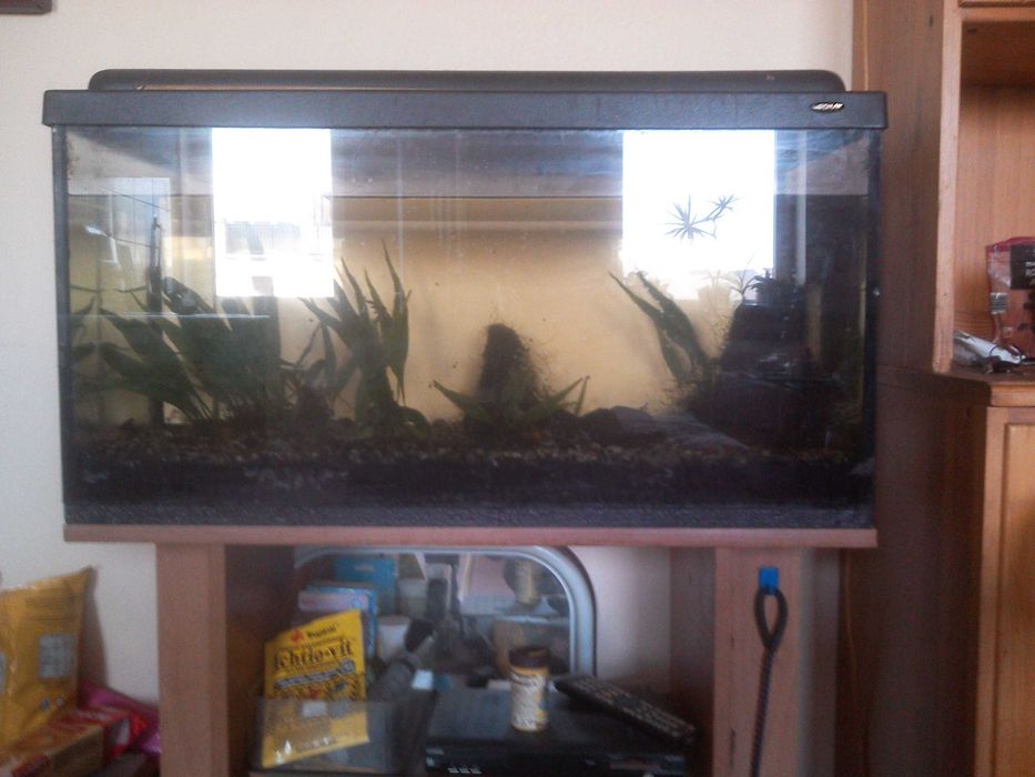 Akwarium 112 l zestaw