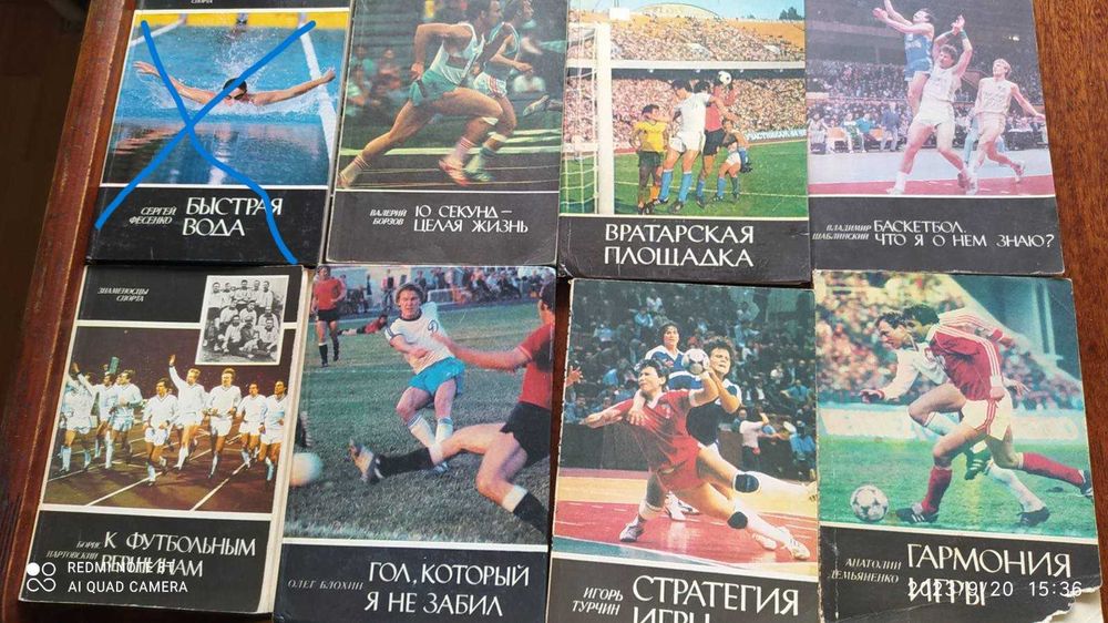 Знаменоносцы спорта  (серия книг)