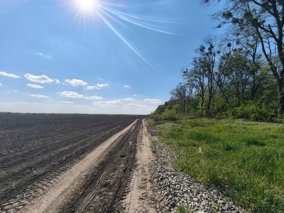 Фото ділянки