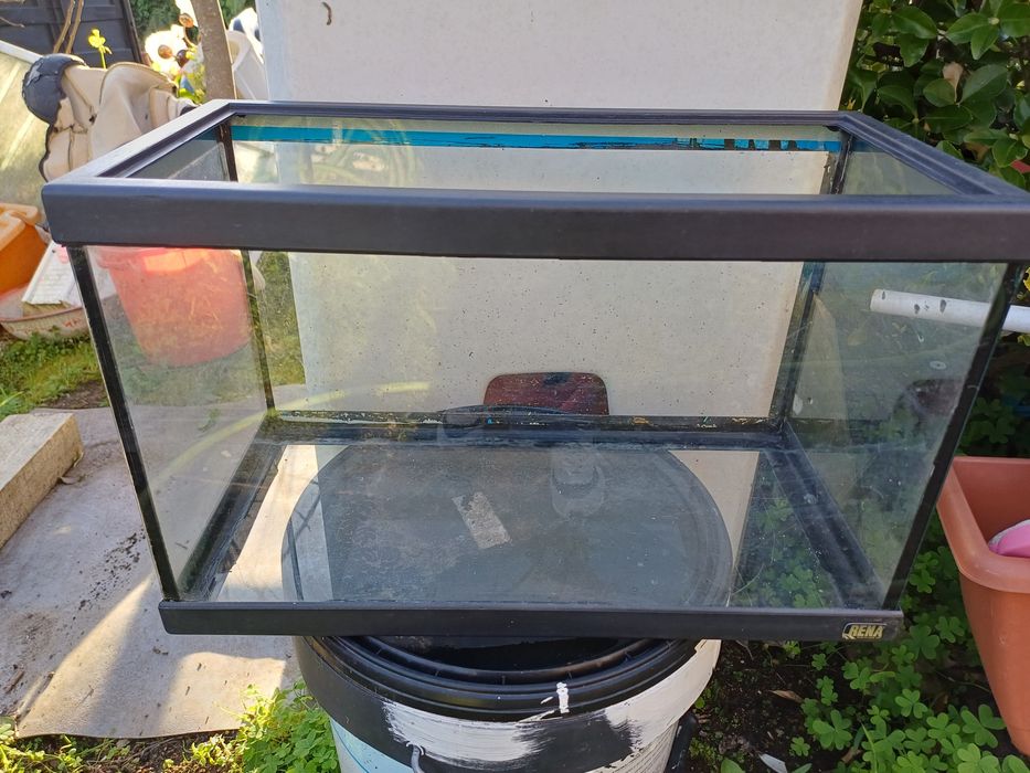 Aquário em bom estado