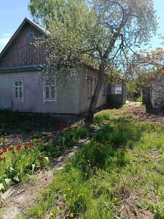 Продам будинок с. Високе, Брусіловського р-н. Житомирська обл.