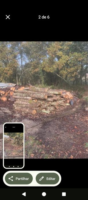 Vendo Lenha de pinho e carvalho