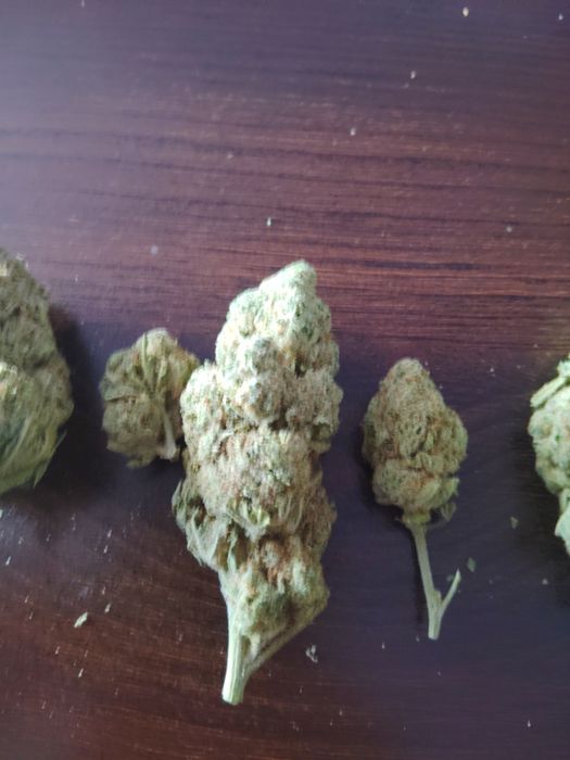 Royal Kush CBD 5g  Klasa Premium Legalny