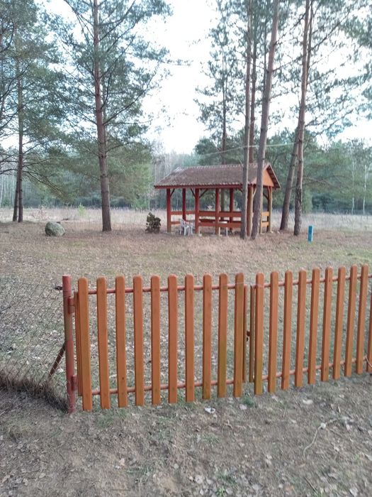 Działka rekreacyjno - rolna i dodatkowo las