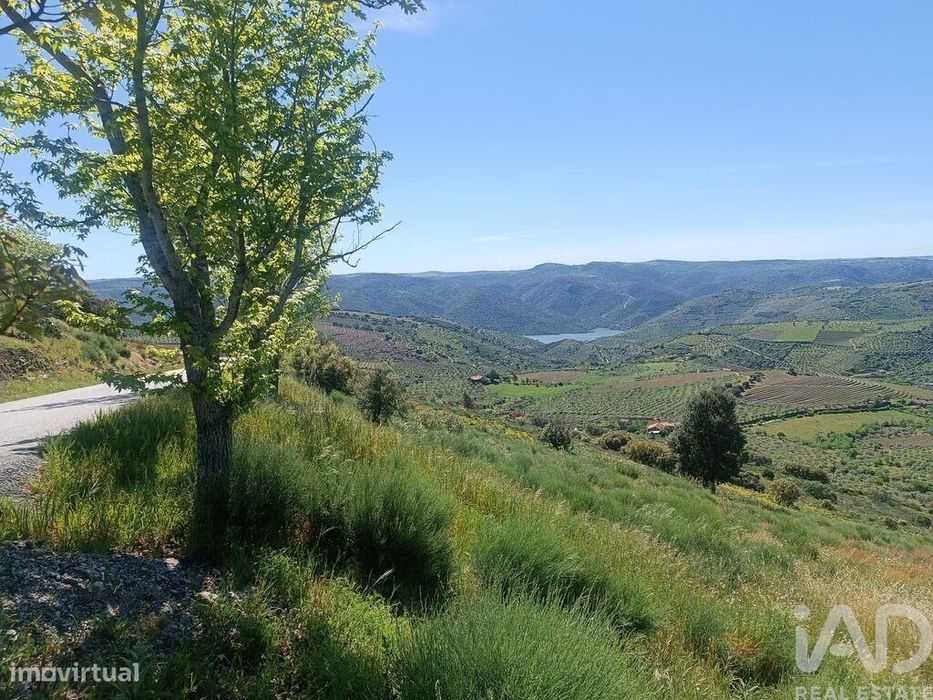 Terreno em Freixo de Espada à Cinta e Mazouco de 49572,00 m2