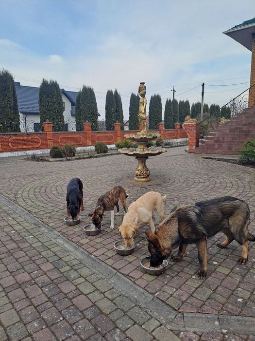 Перетримка ( перевезення по Україні )