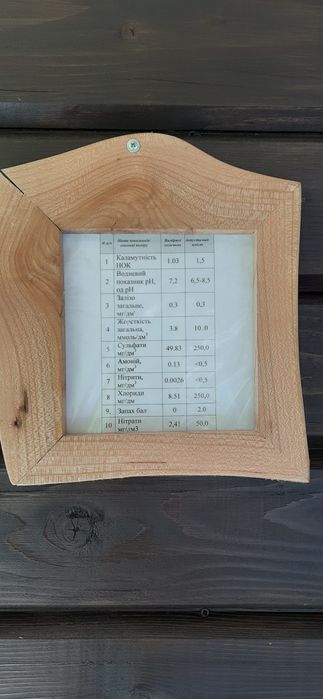 Котедж біля лісу