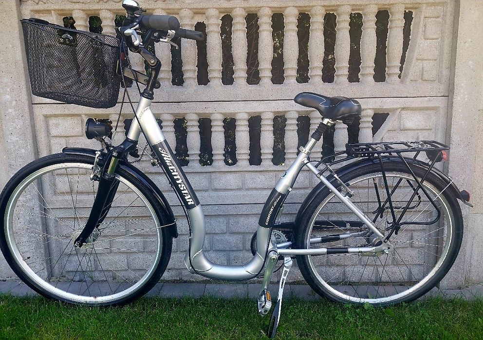 Łabędz Z Niska Rama  Damki