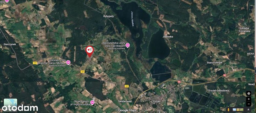 Działka z WZ wśród pól i lasów, blisko zjazd A2 w Trzcielu - Widok 5