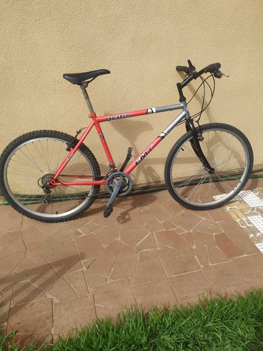 Duas bicicletas (homem e mulher)