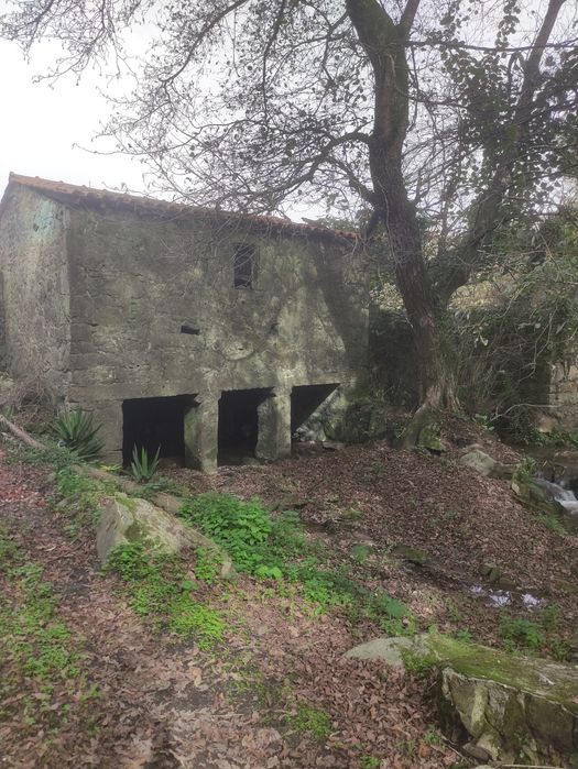 Moinho em Vila do Conde