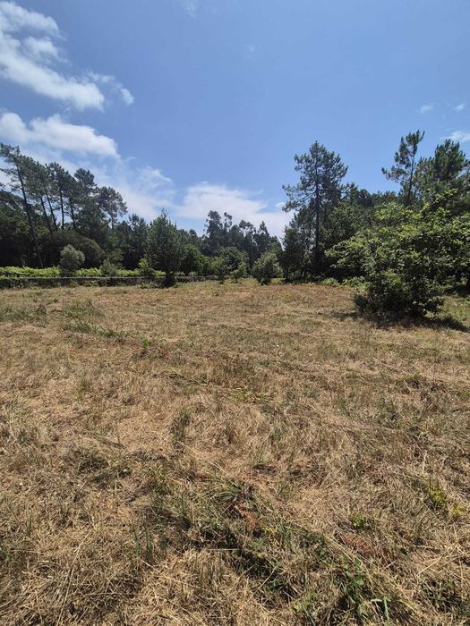 Vendo    Terreno Agrícola