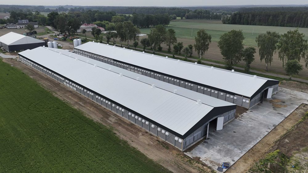 Kurnik, Kurnik dla brojlerów, Budynek Inwentarski, Hala Izolowana