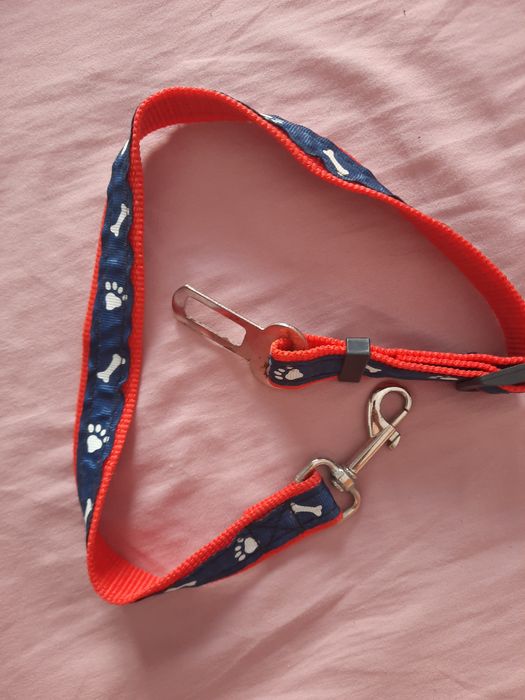 Cão acessórios 1 novo e outros usados